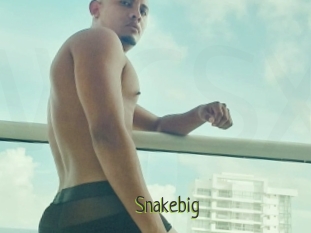 Snakebig