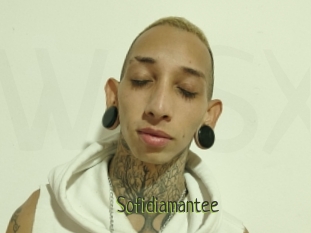 Sofidiamantee