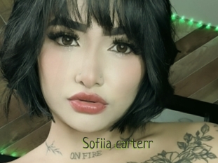 Sofiia_carterr