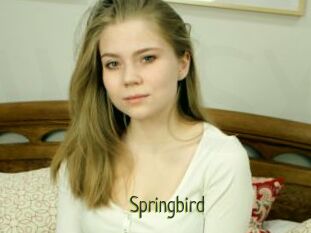 Springbird
