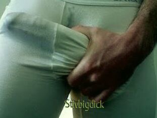 Stivbigdick