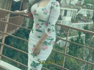Sunehrikudi