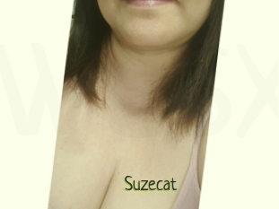 Suzecat