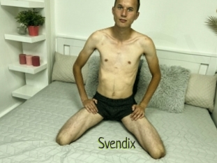 Svendix