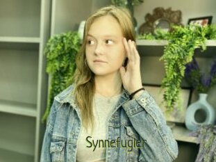 Synnefugler