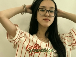Synnovediggle