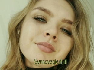 Synnovegledhill