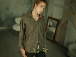 TEO_SKY