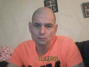 TIJGER01