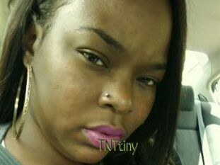 T_N_Ttiny