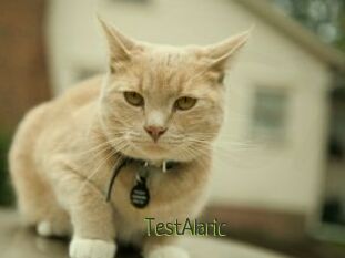 TestAlaric