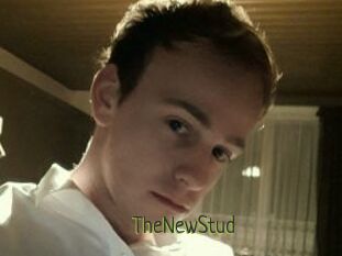 TheNewStud