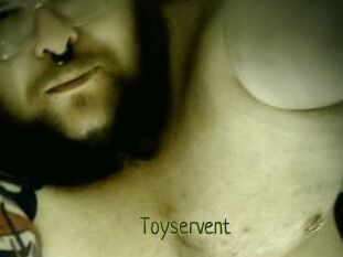 Toyservent