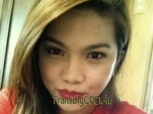 TransBigCOCK4u
