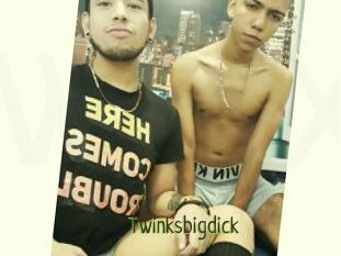 Twinksbigdick