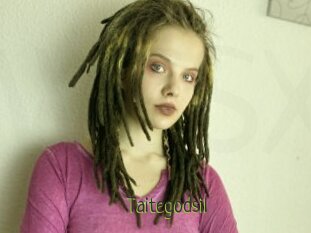 Taitegodsil