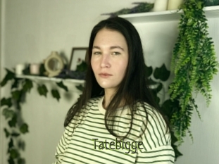 Tatebigge