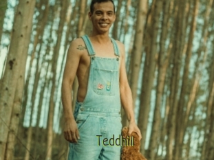 Teddhill