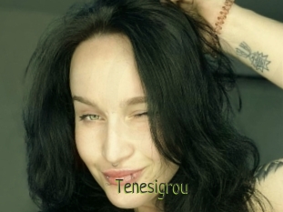 Tenesigrou