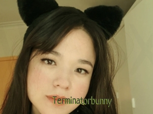 Terminatorbunny
