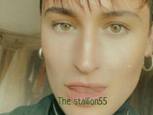 The_stallion55