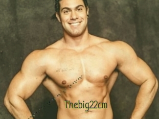 Thebig22cm