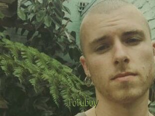 Tofu_boy