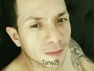 Torvy23