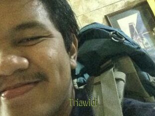 Triawidi