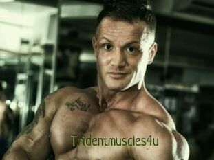 Tridentmuscles4u