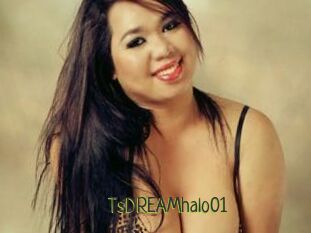 TsDREAMhalo01