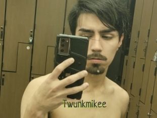Twunkmikee