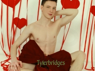 Tylerbridges
