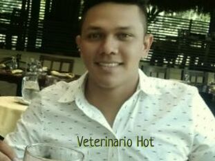 Veterinario_Hot