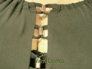 Vixen_Cosmos