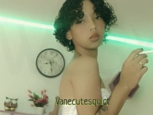 Vanecutesquirt