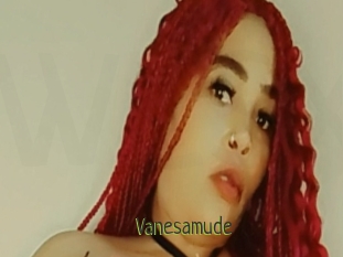 Vanesamude