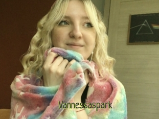 Vannessaspark