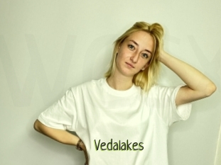 Vedalakes