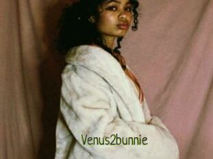 Venus2bunnie