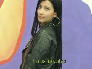 Venusmagentaa
