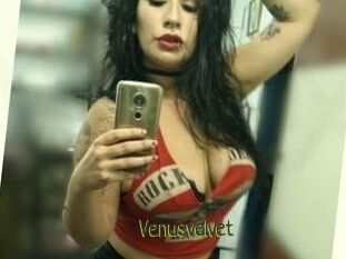 Venusvelvet