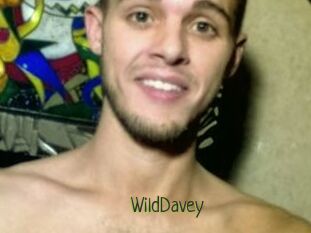 WildDavey