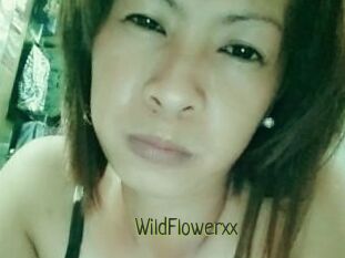 WildFlowerxx