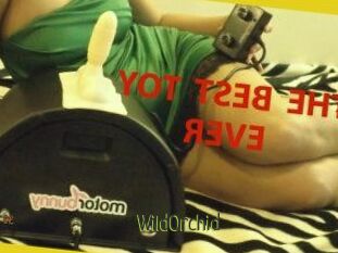 WildOrchid_