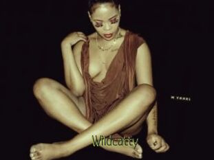 Wildcatty
