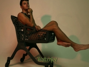 Waltenjoy