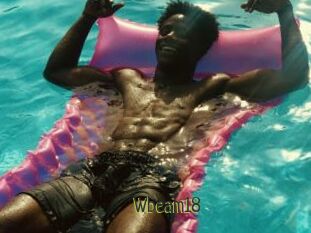 Wbeam18