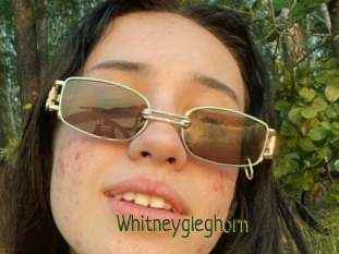 Whitneygleghorn