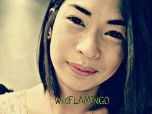 WildFLAMINGO